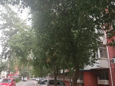 北大地三里中间楼层南向两居室