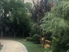 远洋自然洋房下跃带门头 带花园 露台 三室 南北