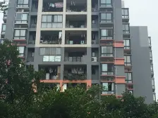 户型方正楼层好,房子采光好,视野开阔,地理位置优越