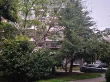 正气三房!南北通风,飞机户型!