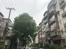 宝山区淞宝宝城二村1室1厅