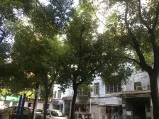 鄱阳湖小区 3室2厅 南