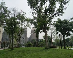 合能珍宝翡翠3室1厅南