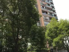 有钥匙丨精装修丨拎包入住丨通透性好丨位置好丨采光好