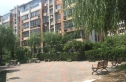 龙跃苑二区实景图