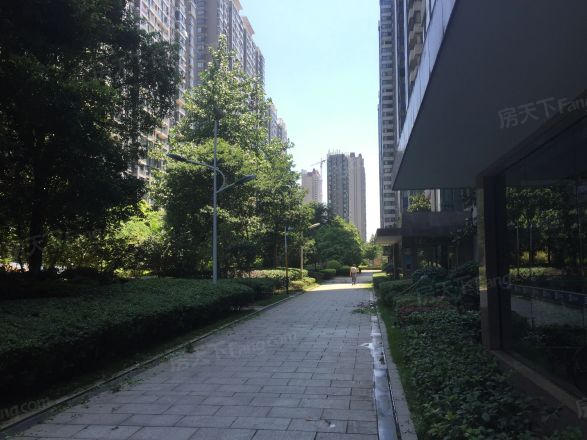 湘江世纪城望江苑实景图