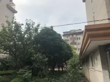 精装修,房型好,打着灯笼找不到,价格好谈,中间楼层