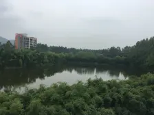 湖岸家园大四房 南北向 采光好 户型方正