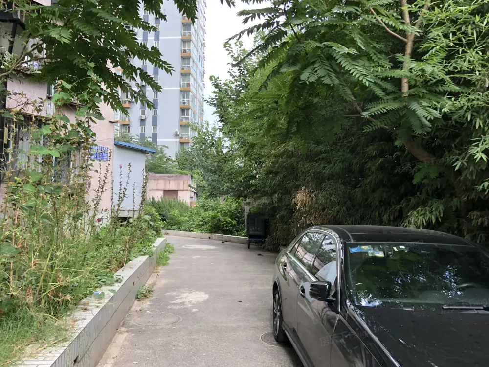 实景图