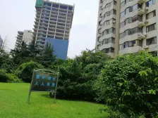 仁恒广场 3室1厅 南