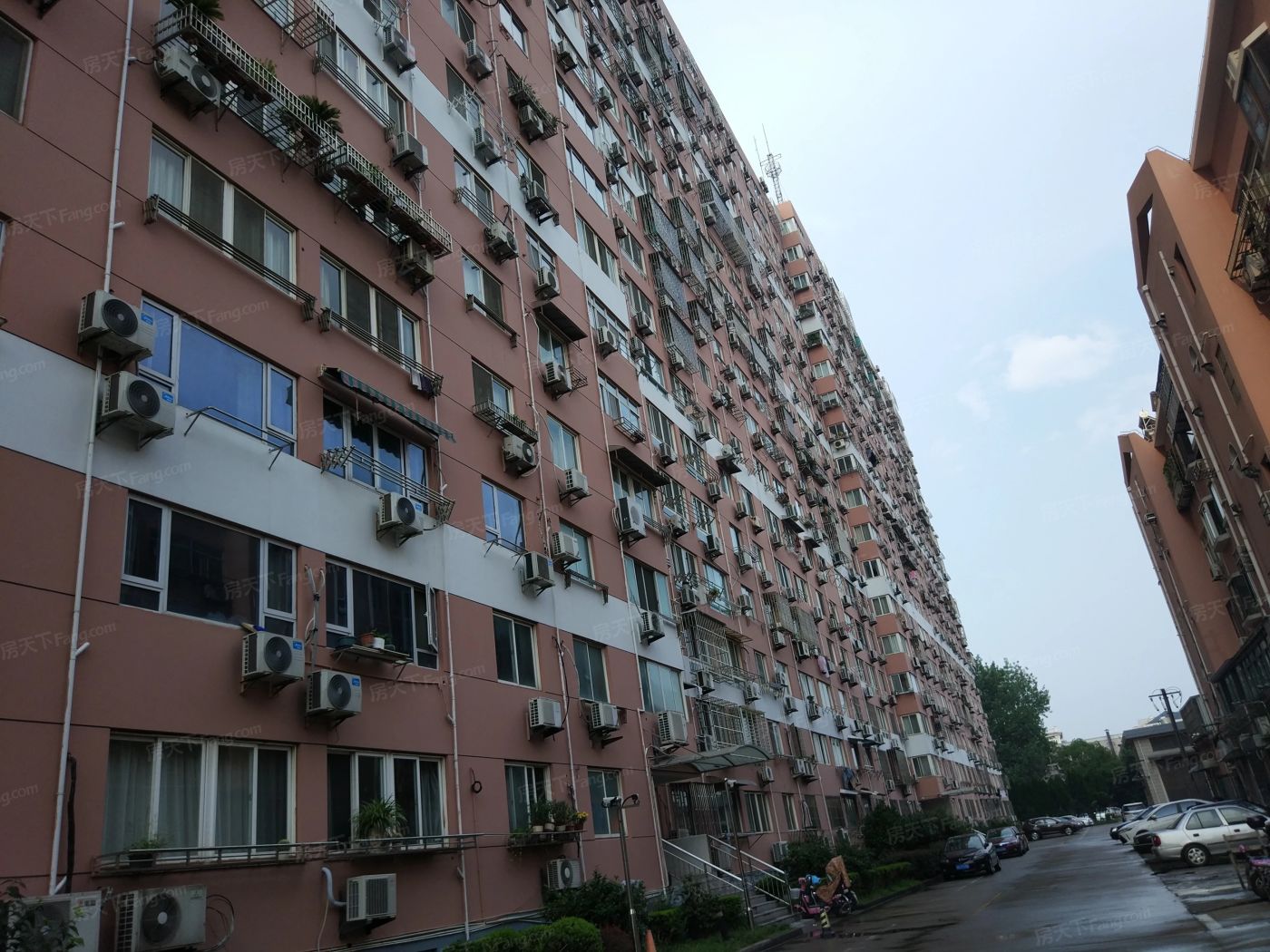 实景图