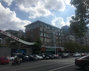 地铁口泰禹已安装电梯电梯复式洋房四阳台带隔楼