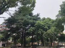 满五就一套,位置好,看房随时方便,配套成熟,近地铁