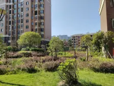 象湖中山路中心地段 绝杀楼层 交通方便 钥匙在手随时看房