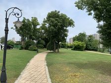 店长推荐 碧桂园 天玺湾一线临湖大双拼