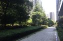 湘江世纪城望江苑实景图