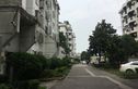 海高二村实景图