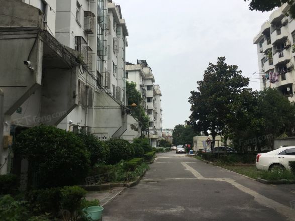 海高二村实景图