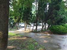 客厅带阳台,景观房,品质小区,环境优美,精装修