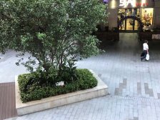 旗峰公园 地铁口 精装1房 高层 通风采光好 诚心出售