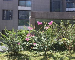 世纪城悦江苑2室2厅南北