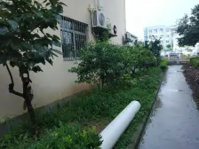 明珠小区(川沙) 2室2厅 南 北