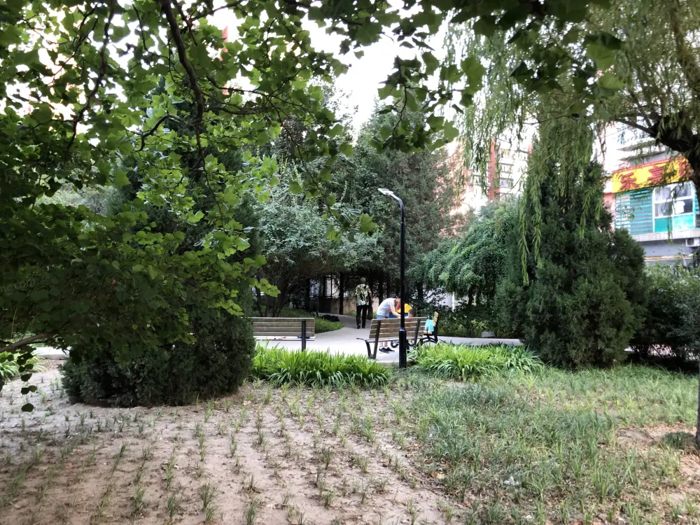 实景图