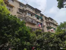 新上,满五 v 一,次顶楼采光好,南北通风,看房方便