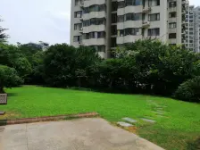 精装 无抵押,电梯房 新上房源