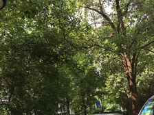 家门口地铁九亭站,60个装修空调地暖,奶油风格调好房
