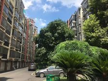 新星小区3室2厅南