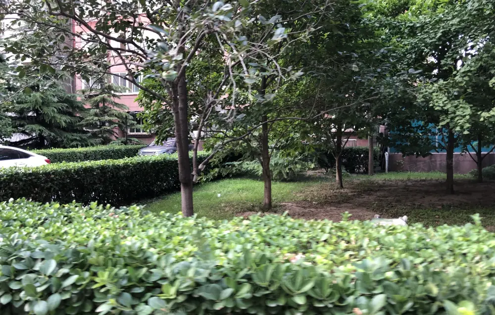 小区图