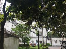 海高二村低楼层方便出行邻六号线保税区北站