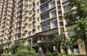 大西洋新城G区实景图