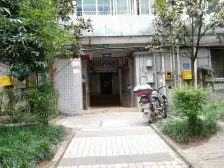 鸳鸯 万兴家园二房