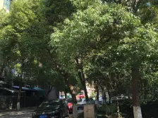 近地铁 电梯房,急售房源