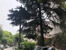 海滨七村3室南朝向198.00万元/套出售