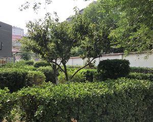 瑞丽江畔 2室1厅 西
