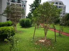 欣松苑,房东诚心出售,采光视野好,诚心出售。