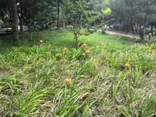 大区精选:新上南北通透三居室,诚心出售