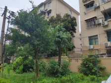 静安区中环内一房一厅业主诚意出售