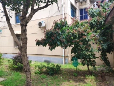 诚意拉满,双南户型,可改两房一厅,交通便利双轨交汇