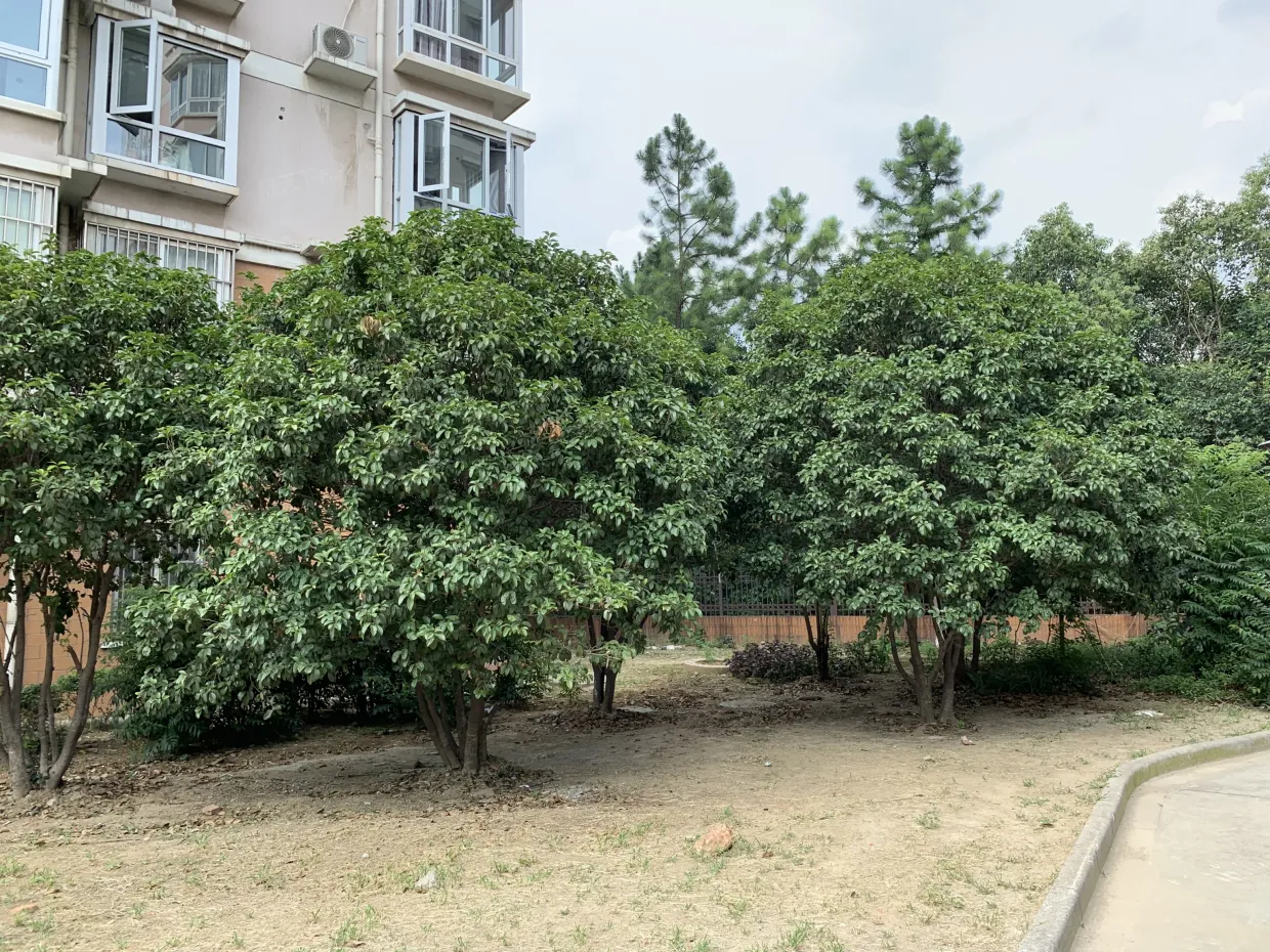 【无锡二泉花园小区,二手房,租房】- 无锡房天下