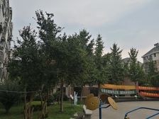 泰燕华庭三房.总价低。配套齐全。房子满五税费少