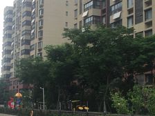 万科配牌 精装物业好,四房户型方正,居住舒适