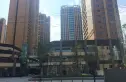 铂悦山实景图