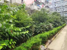 双南户型,高层东边套全明,采光视野明亮无遮挡