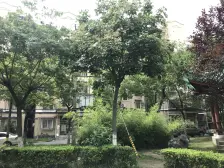 静安新城四区 3室1厅 南