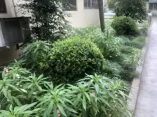 带花园采光无遮挡,看房子提前约,只有一套!