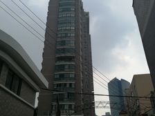 提前预约半小时可看。带车为